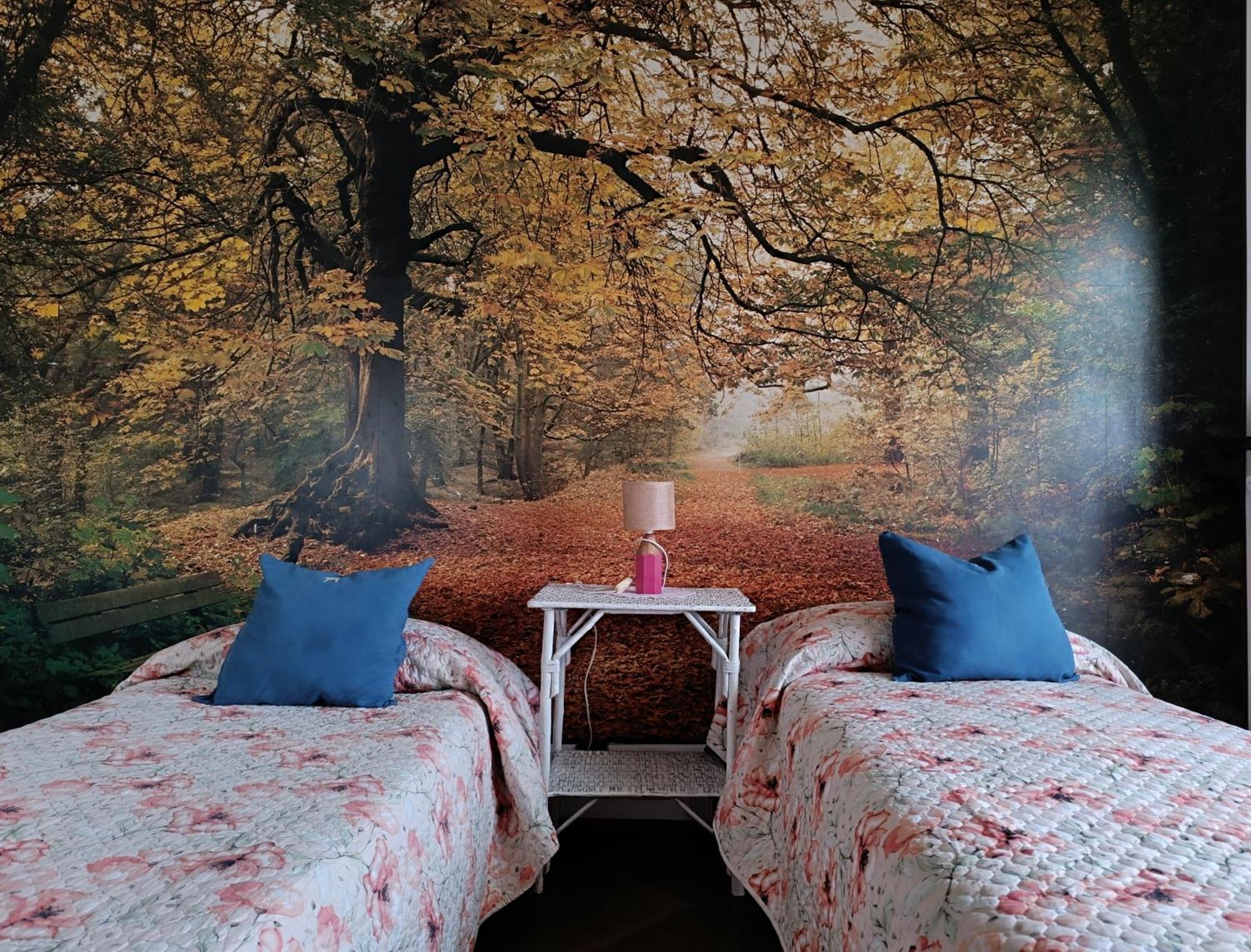 Giaveno, Apartment "Margherite" A Pochi Passi Dal Centro, Wifi Екстериор снимка
